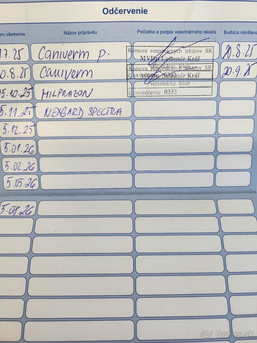 Nemecký Ovčiak - 9