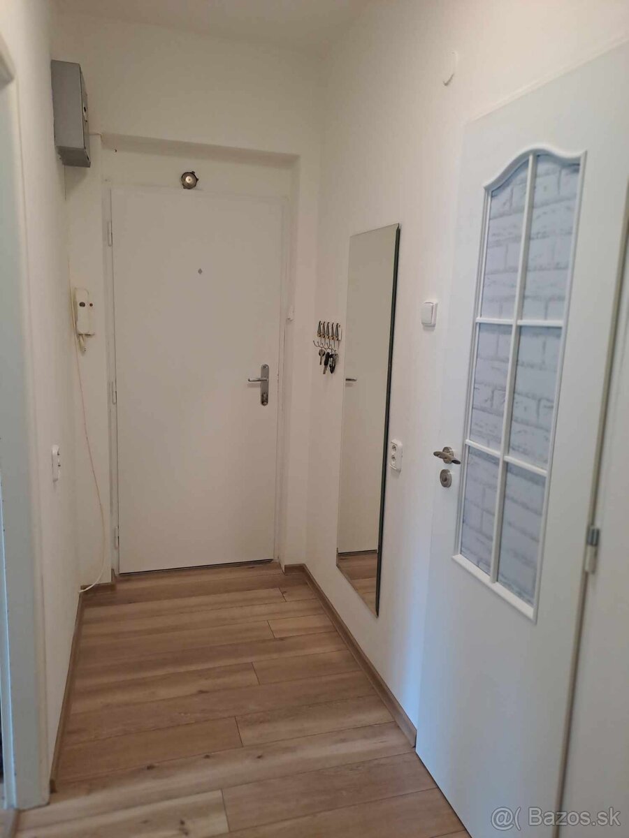 ZNÍŽENÁ CENA prenájom 1 izbový byt - 9