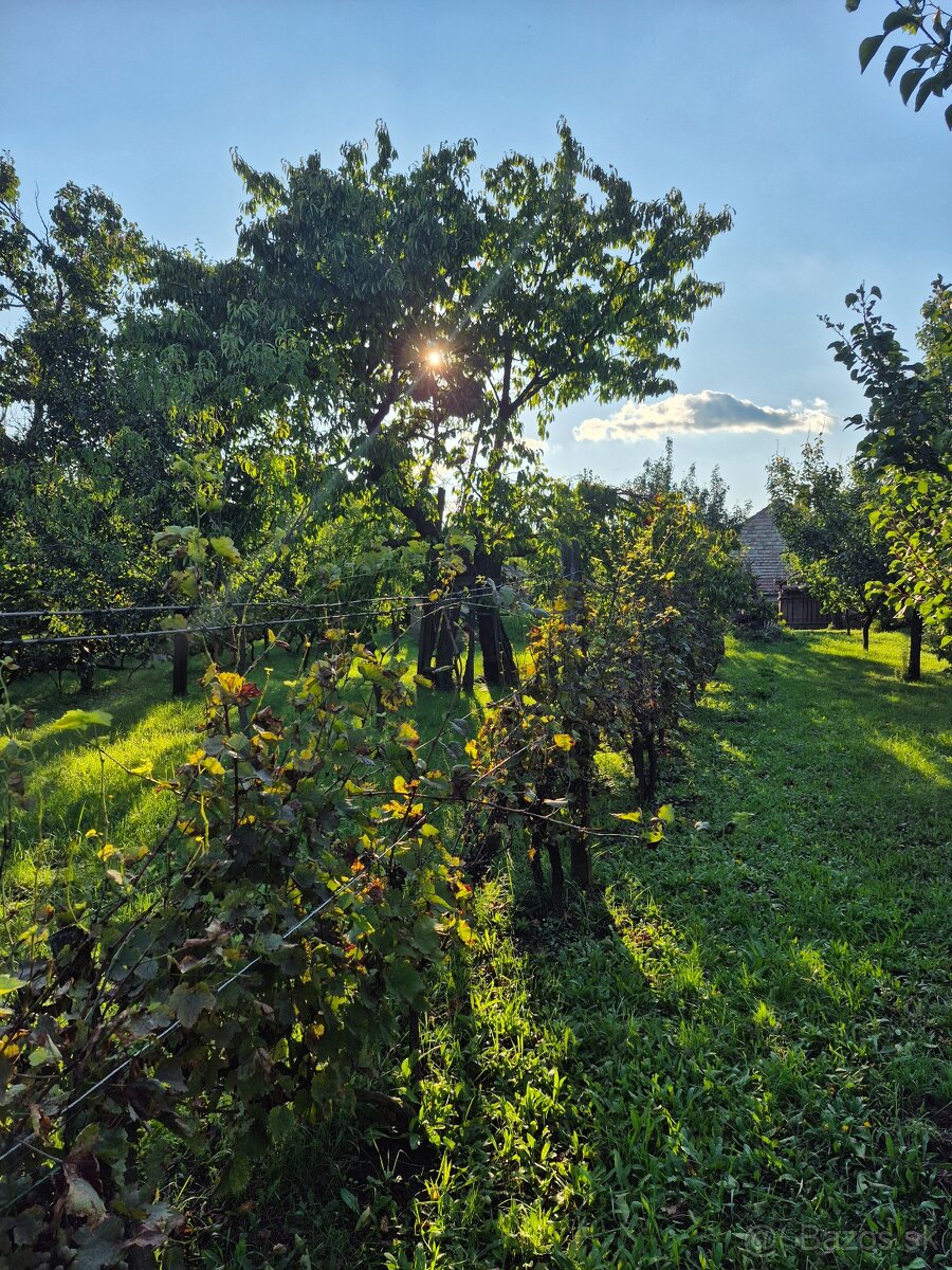 Vidiecky dom s výnimočnou záhradou v obci Méra - 9