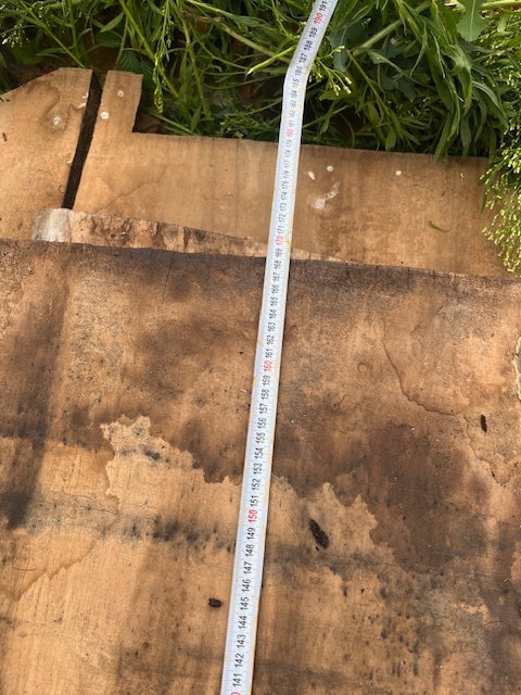 Orechové drevo - rezivo - 9