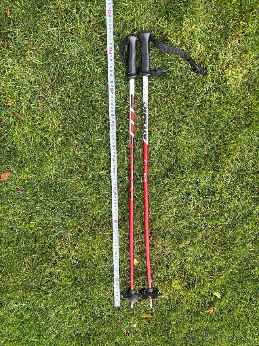 Lyžiarky Dalbello - 9