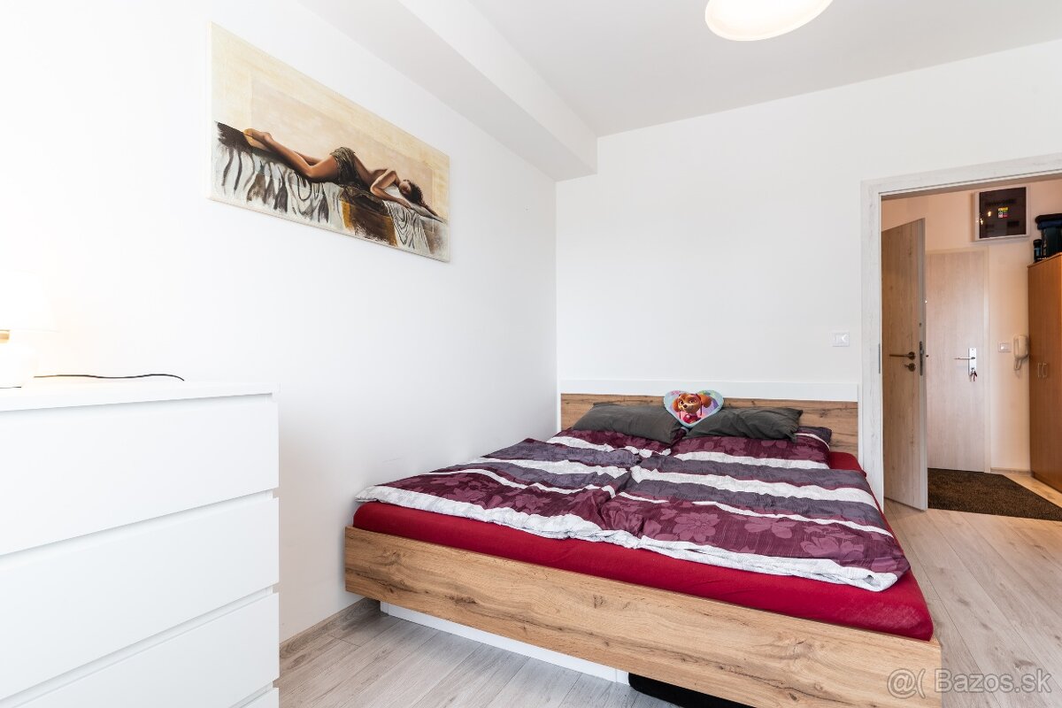 1,5 izb. nájom v Šaci - 9