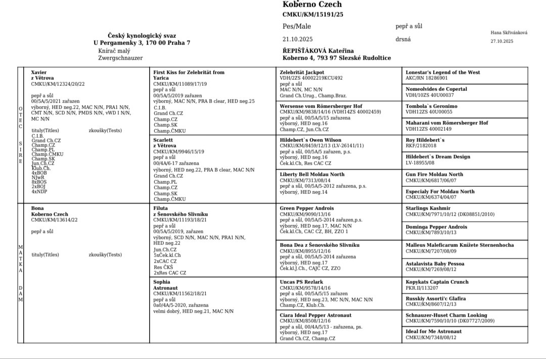 Bradáč malý korenie a sol - 9