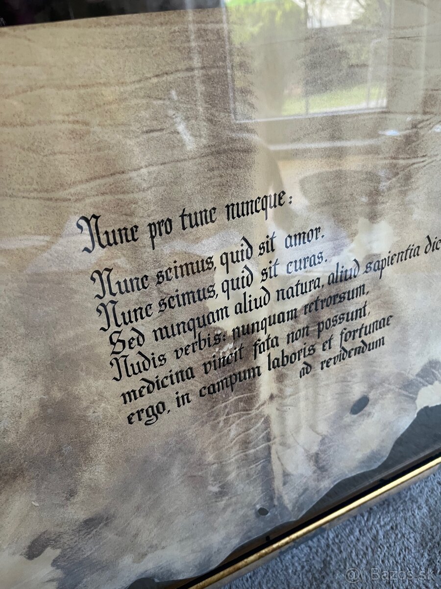 Obraz 83x57 latinský citát - 9