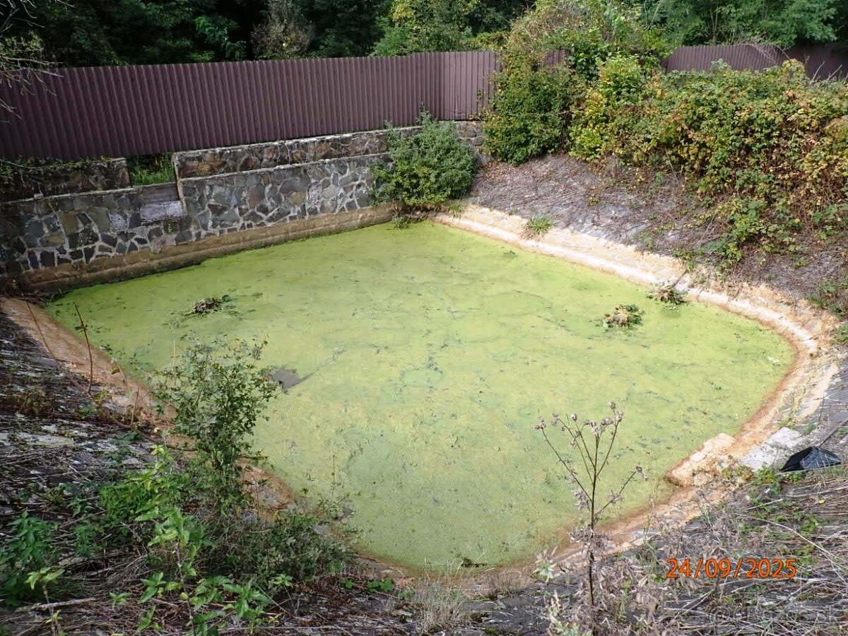 Rodinný dom súp. č. 165, Nižná Rybnica, okr. Sobrance - 9