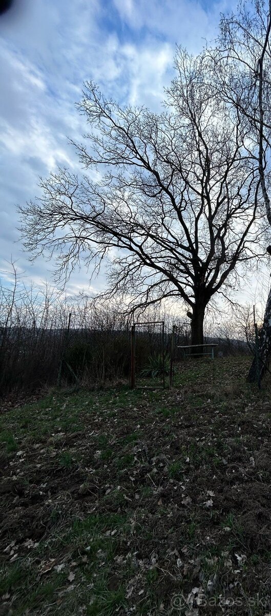 Investičný pozemok 2000 m2, Prešov - 9