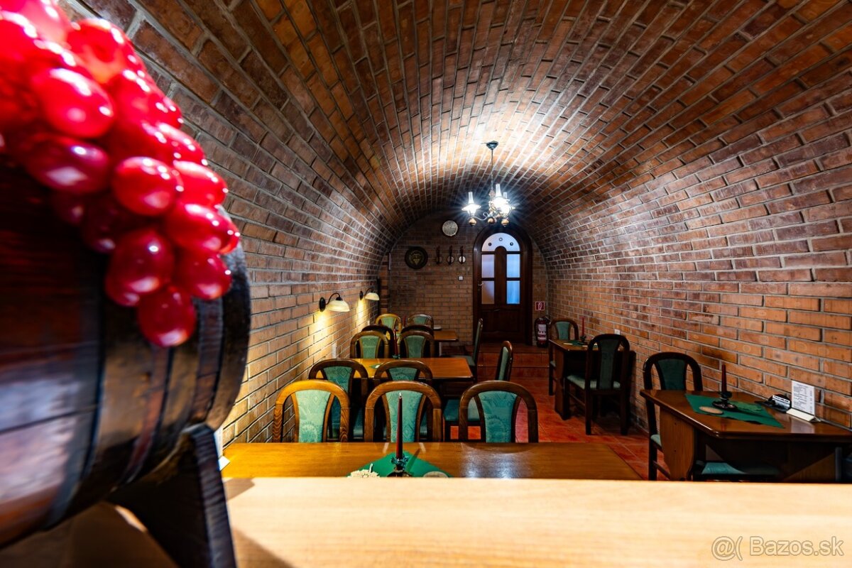 Predám vináreň s dvomi garážami - 9