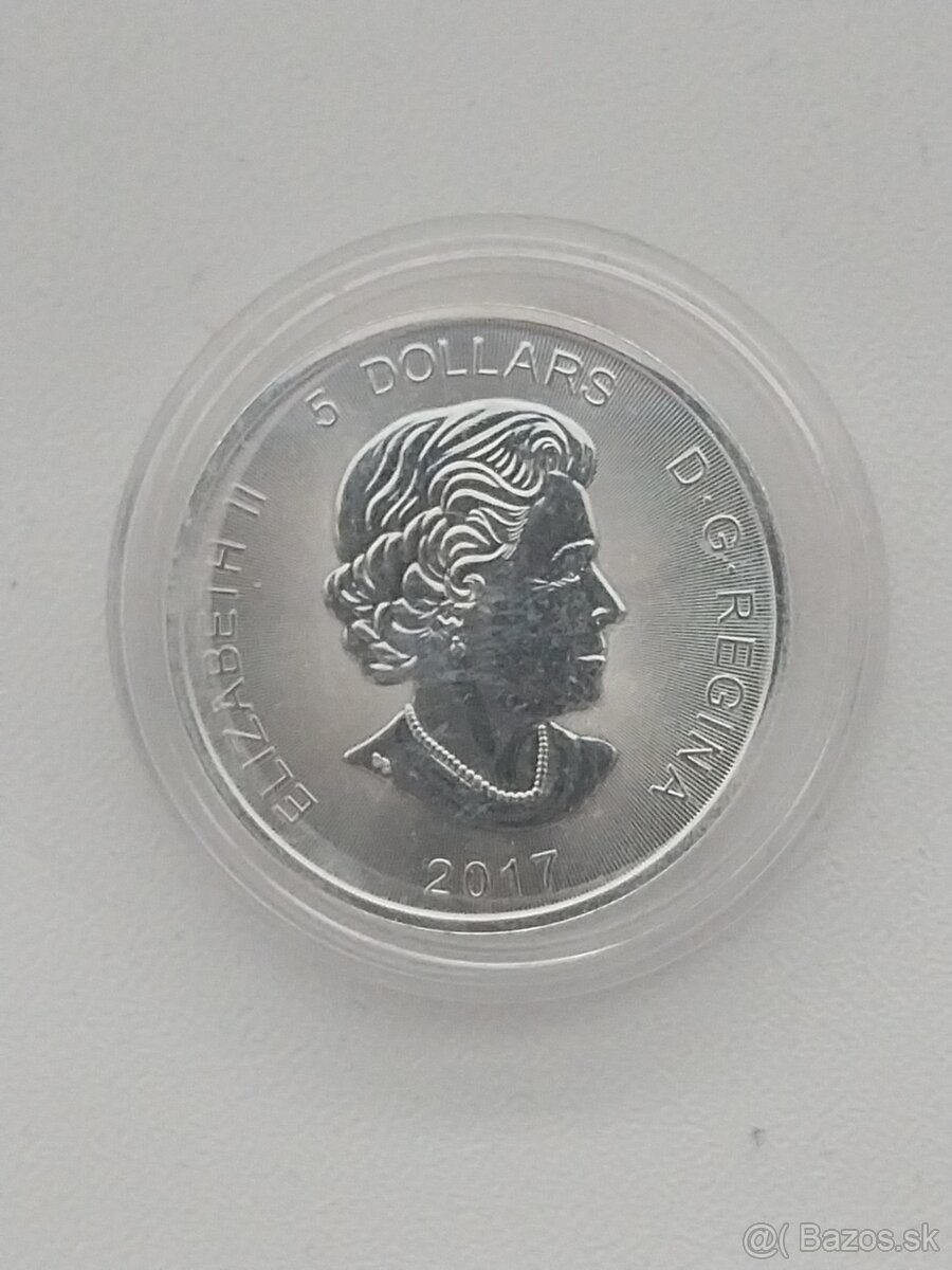 Strieborne investičné mince 1 OZ - 9