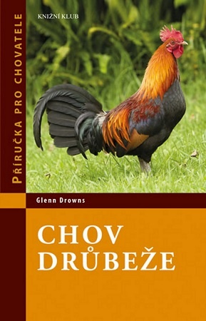 Mačky, psy, zvieratá, chov - 9