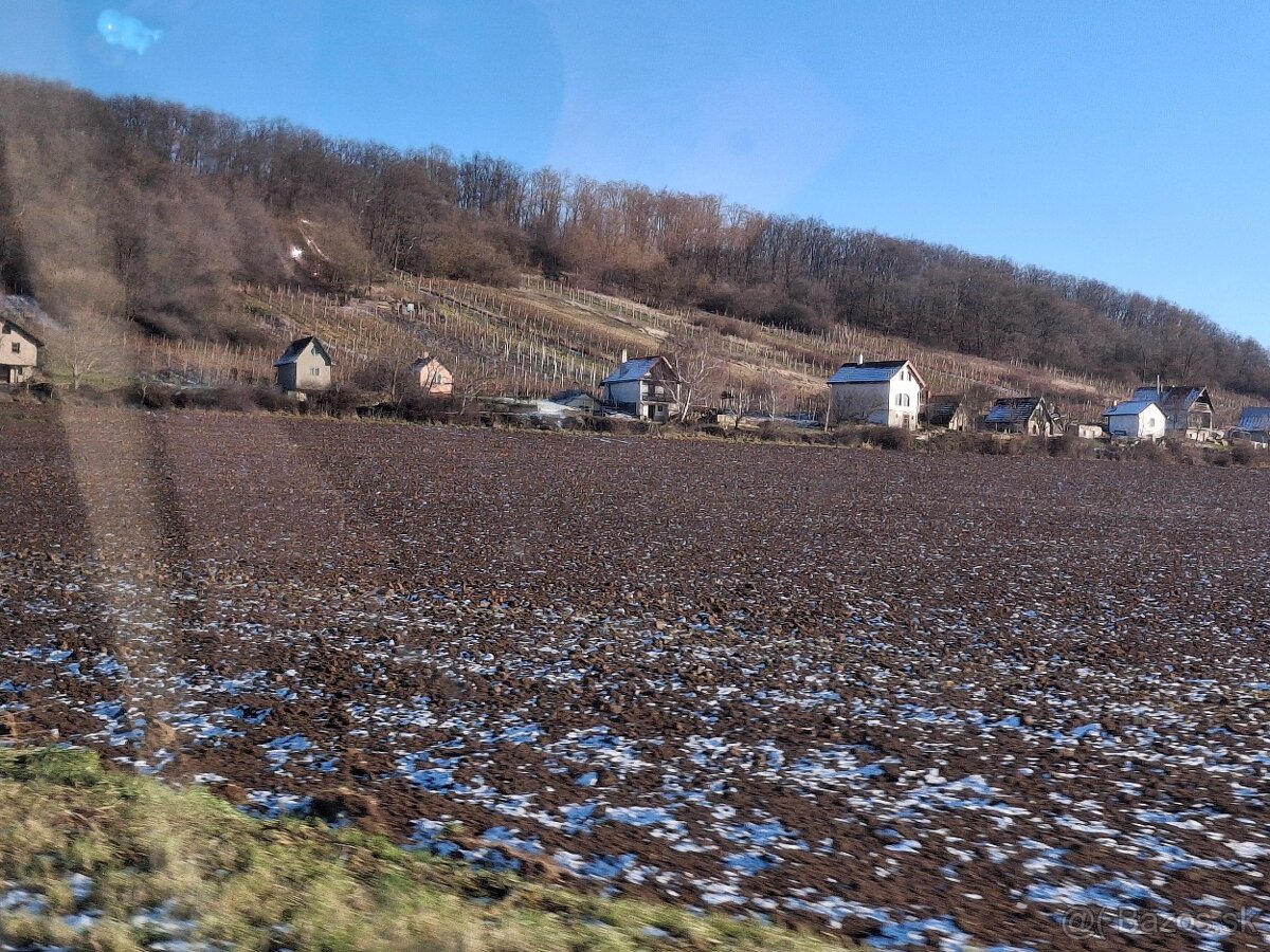Vinohrad v Tokajskej oblasti - 9