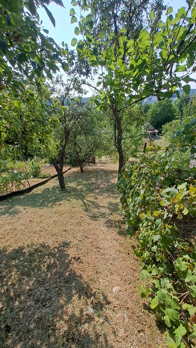 Záhrada s podpivničenou chatkou - 9