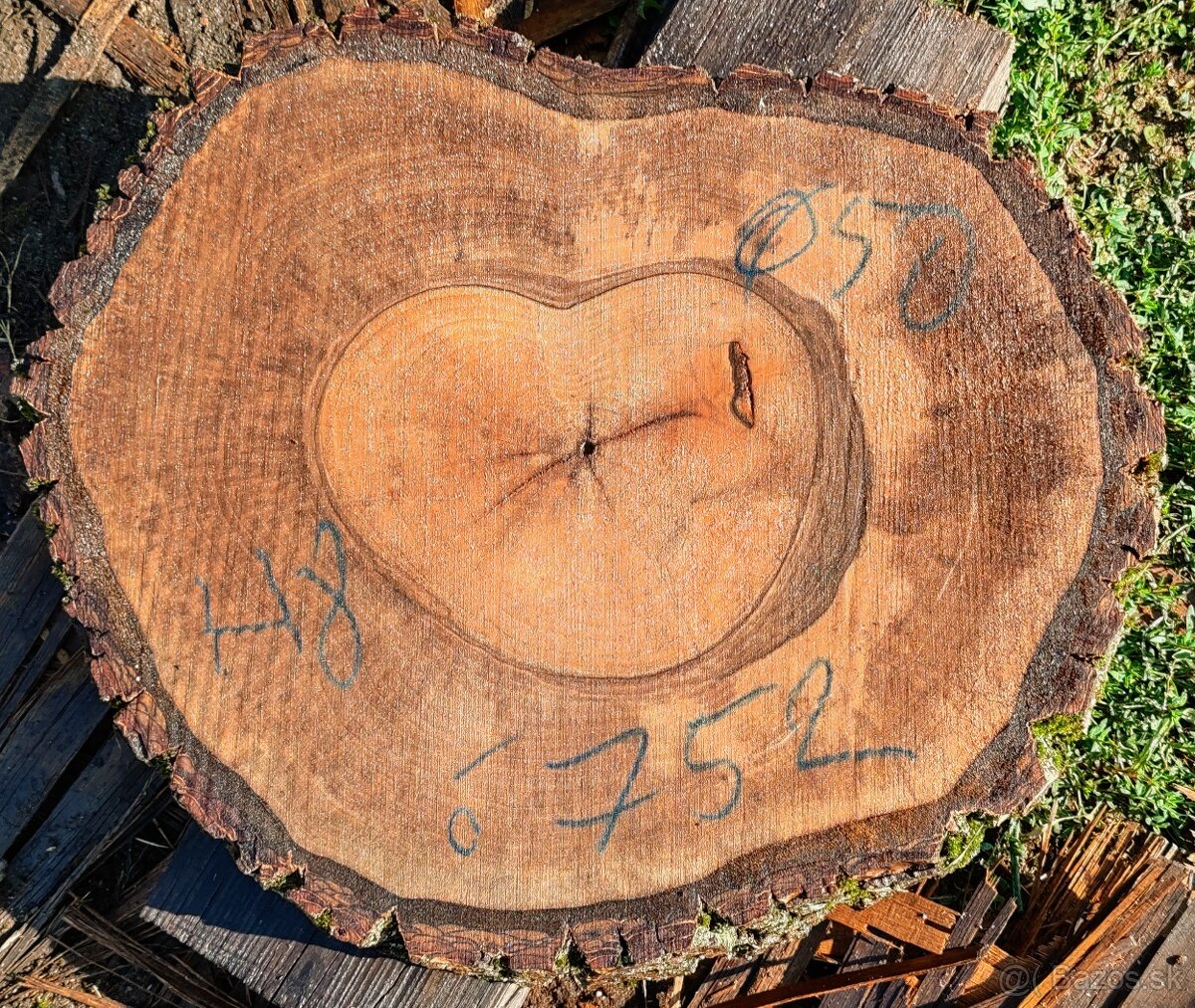 drevene koláče, priečne rezy - 9