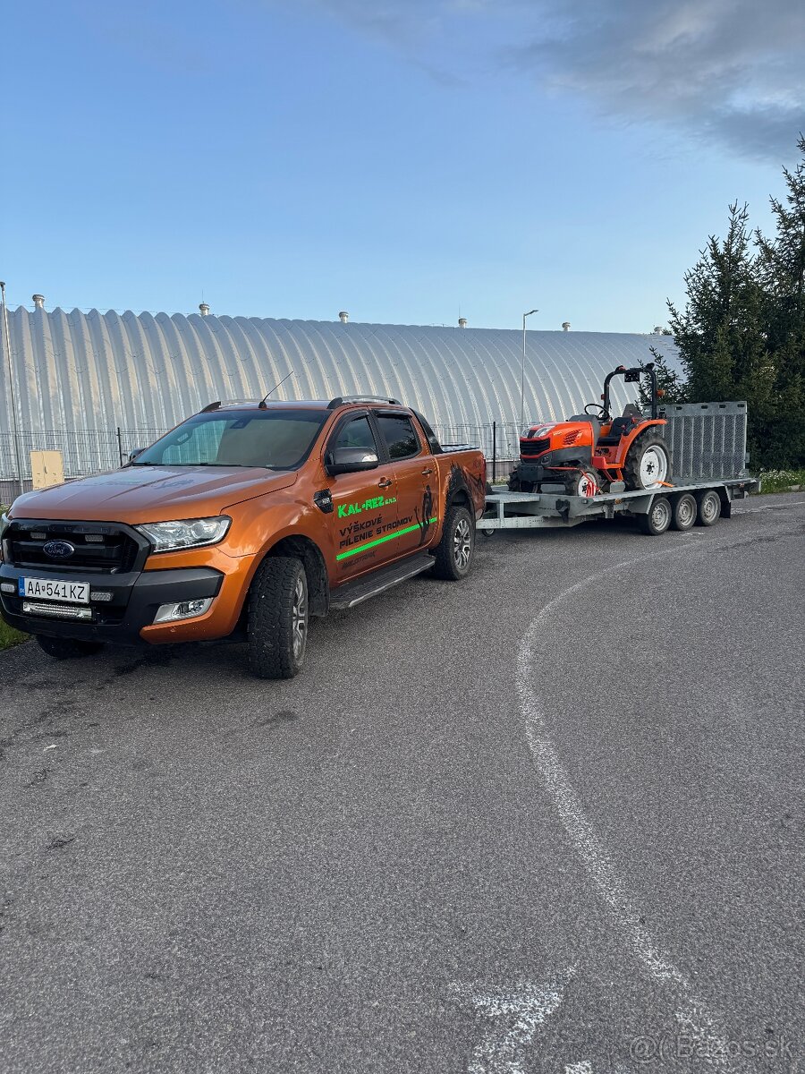 Pílenie stromov - 9