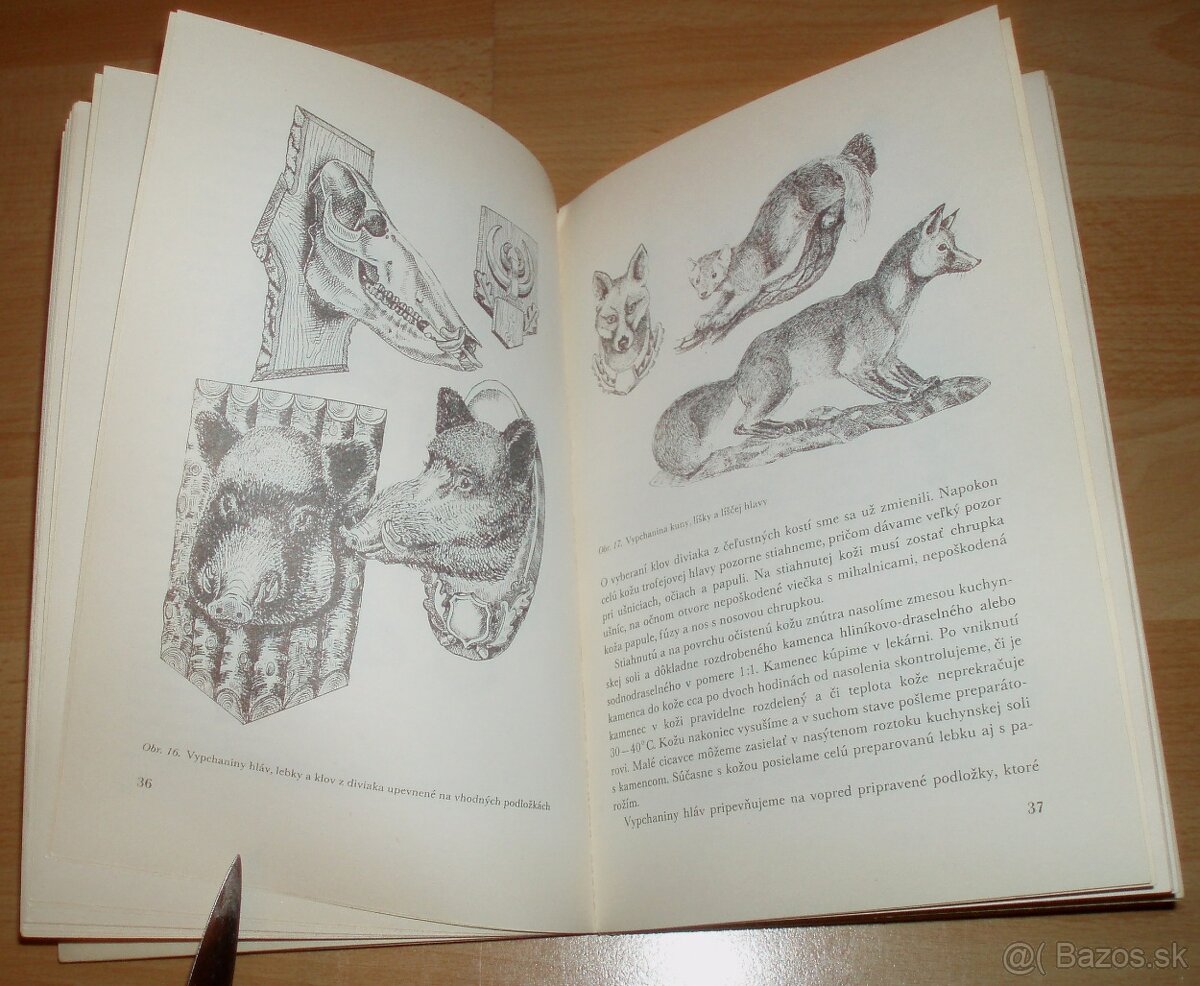 Poľovnícke trofeje a výrobky - 9