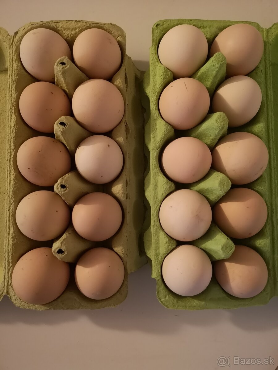 SLEPAČIE VAJCIA - 9