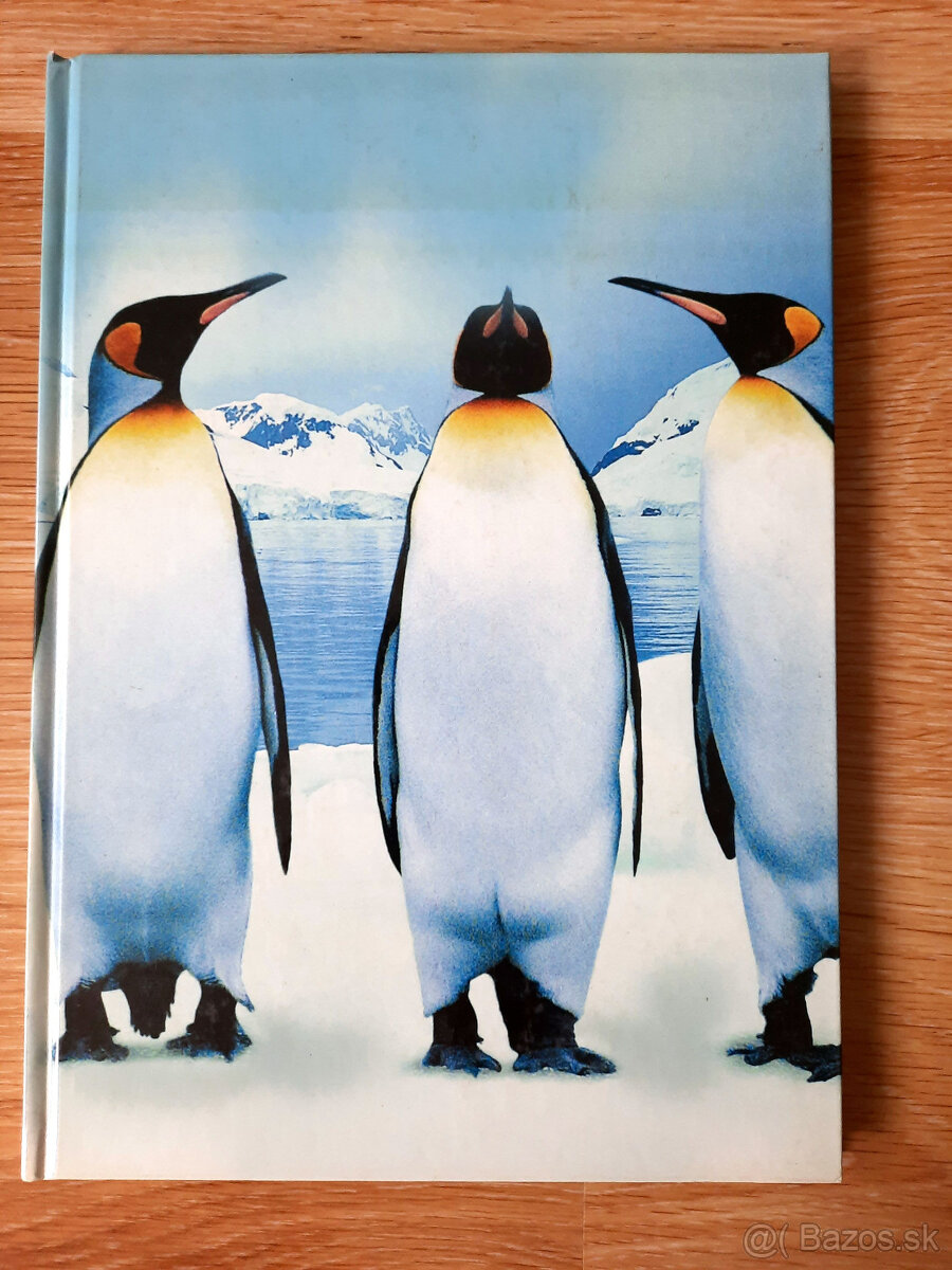 Školské potreby - 9