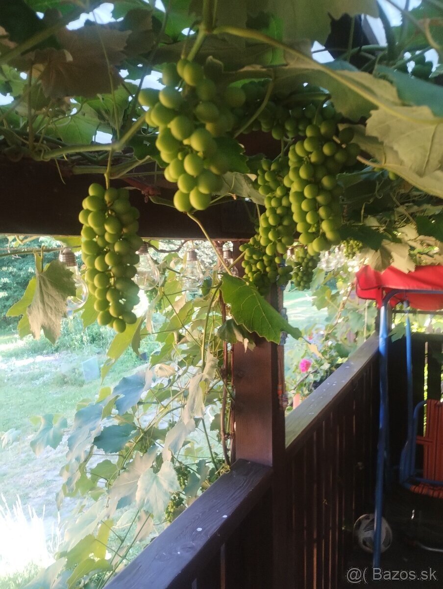 Predaj chaty pri Vinianskom jazere - 9