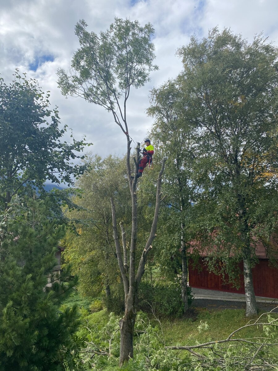 Orazávanie a výrub stromov - 9