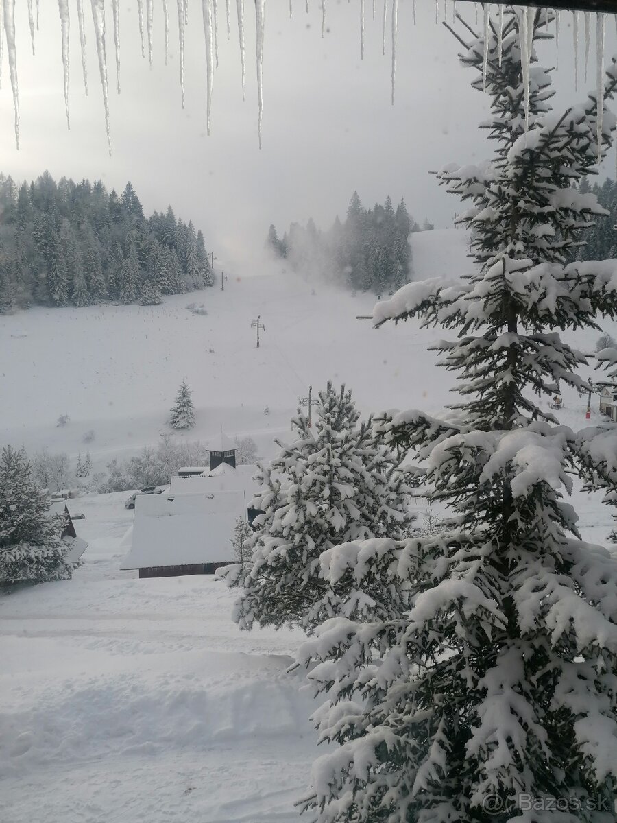 Prenájom chaty v Pieninách – Litmanová - 9