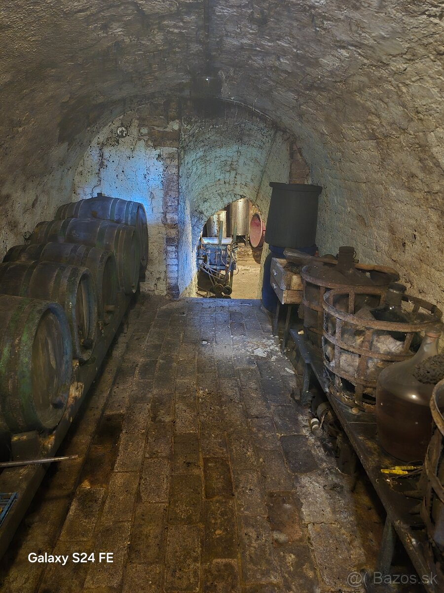 Pivničná chata v známej vinohradníckej oblasti - 9