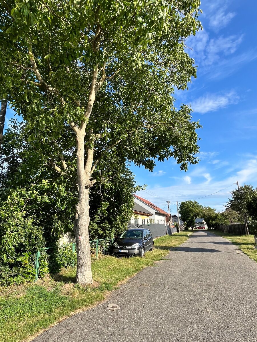 Rodinny dum Vysoká pri Morave - 9