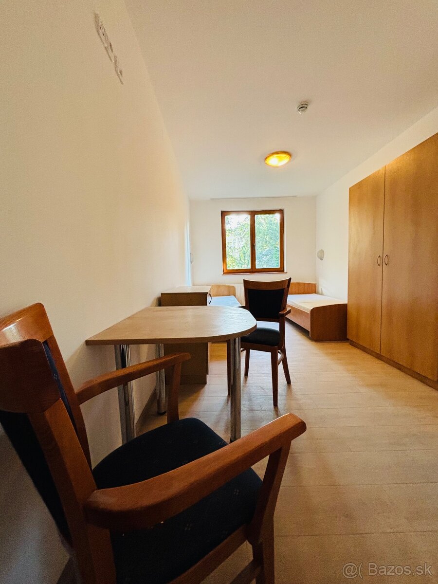 Vila Gross Likavka - 9