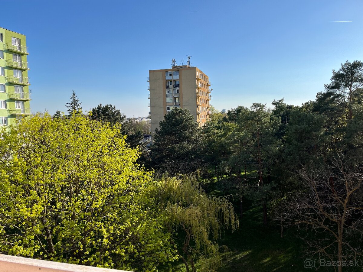 Na prenájom trojizbový byt v meste Dun.Streda - 9