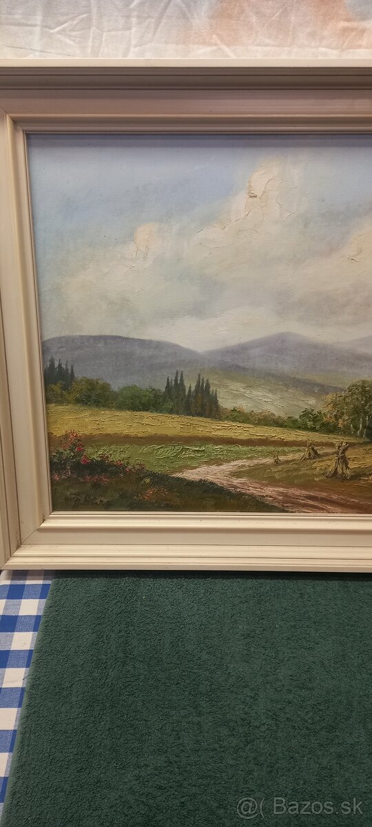 Obrazy olejomaľba - 9