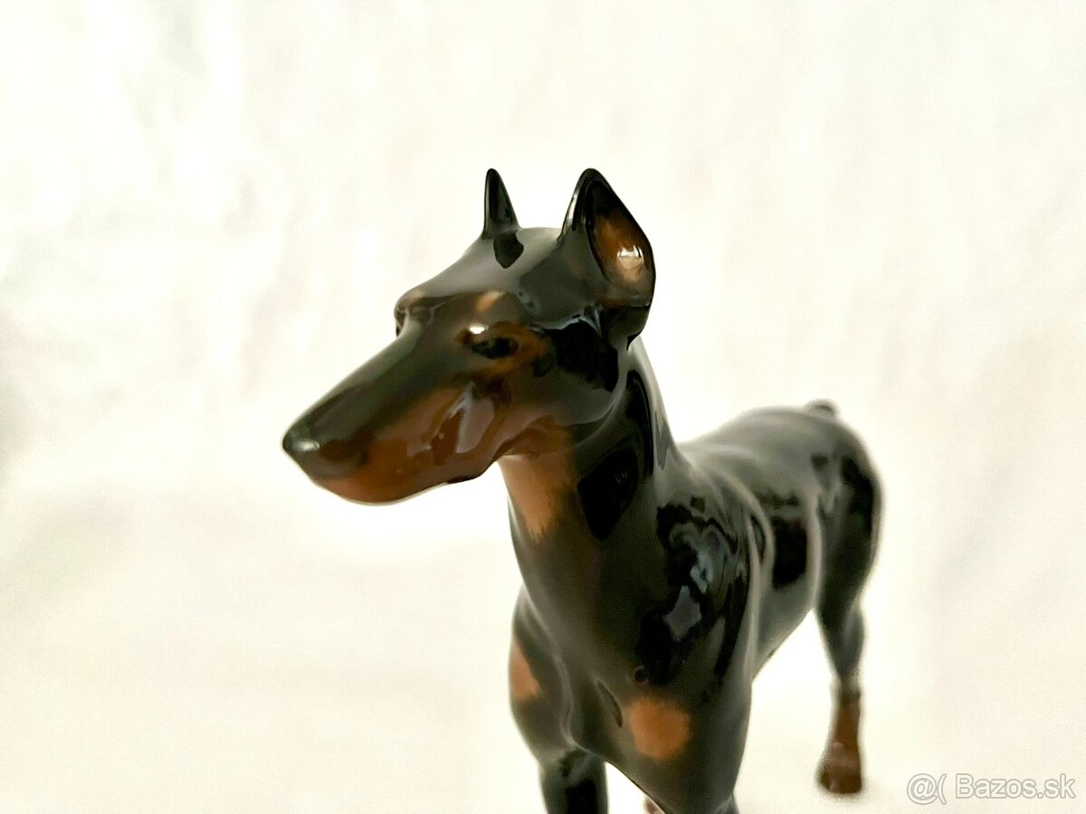 Porcelanovy pes - doberman Rosenthal - 9