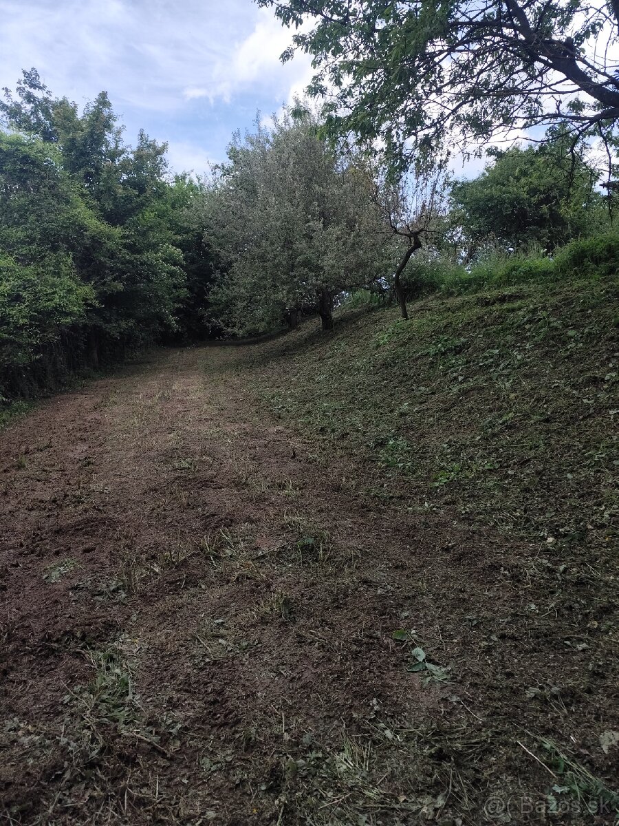 Čistenie a mulčovanie pozemkov, odstraňovanie náletov - 9