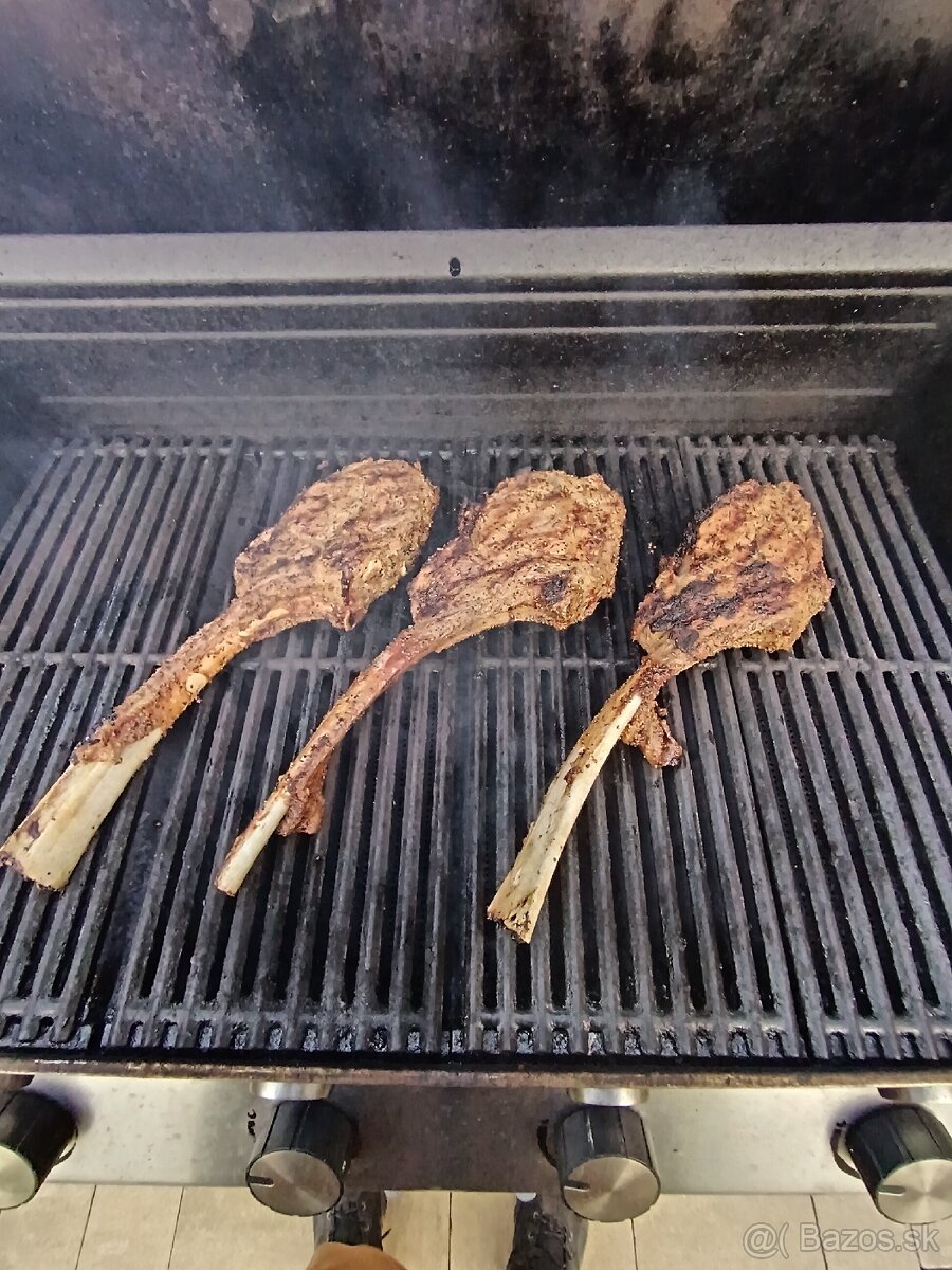 Grill Chair Broil Professional True Infrared - 9