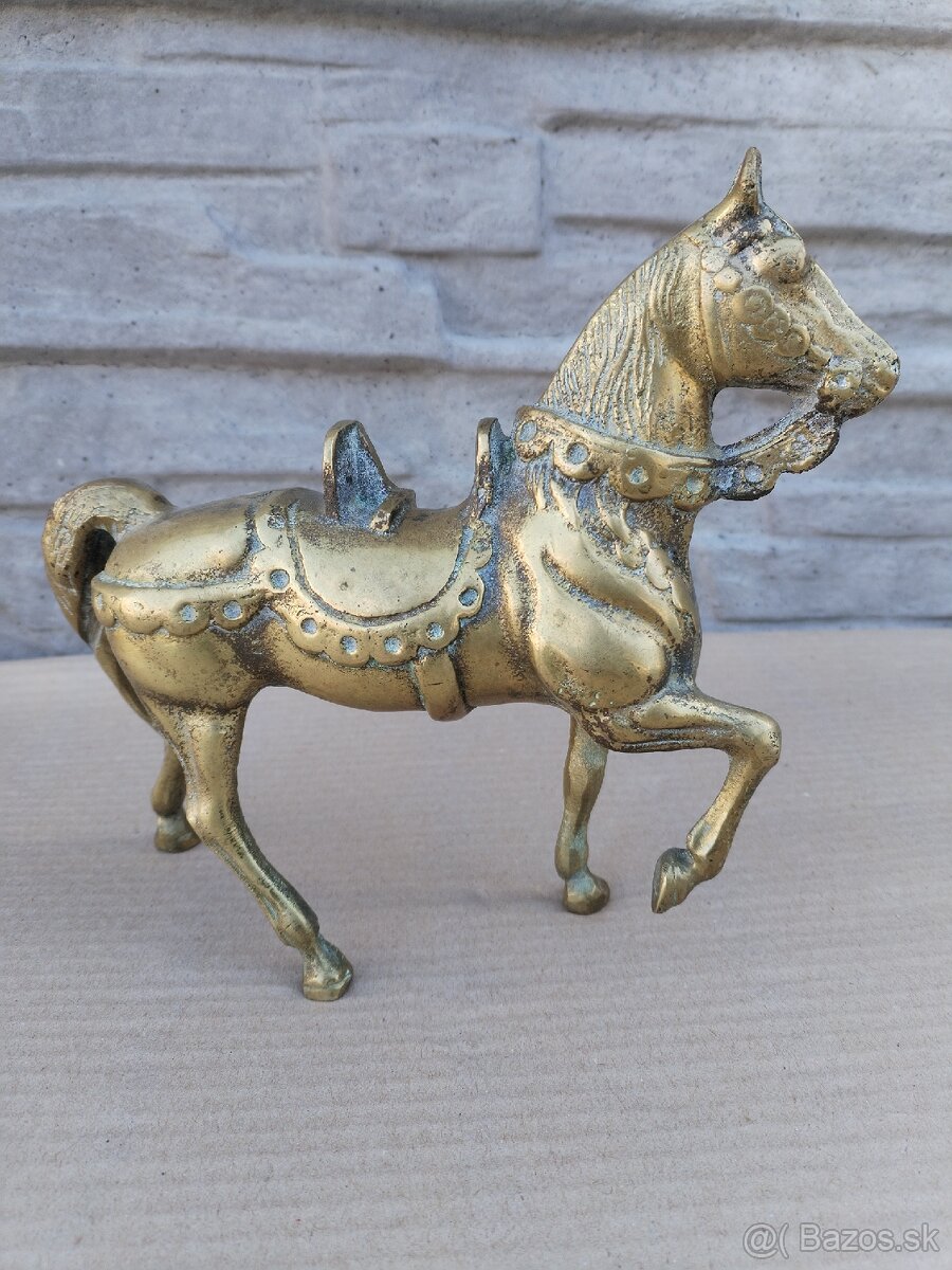 Rytier na koni 120€ - 9