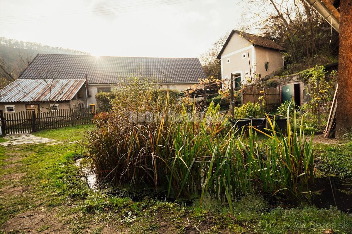 PREDAJ: Rodinný dom so záhradou, hospodárskymi stavbami a pô - 9