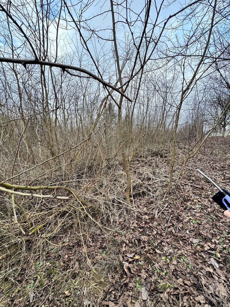 Pozemok (záhrada) na predaj - 9