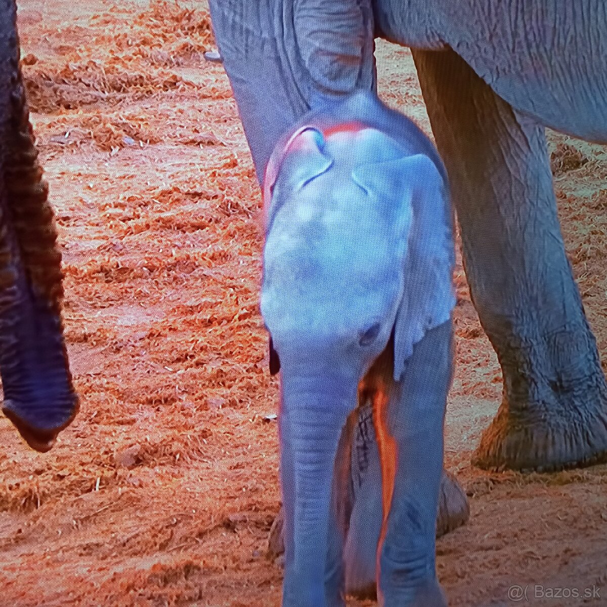 Thomson 4k Android smart tv 55(139) - 9