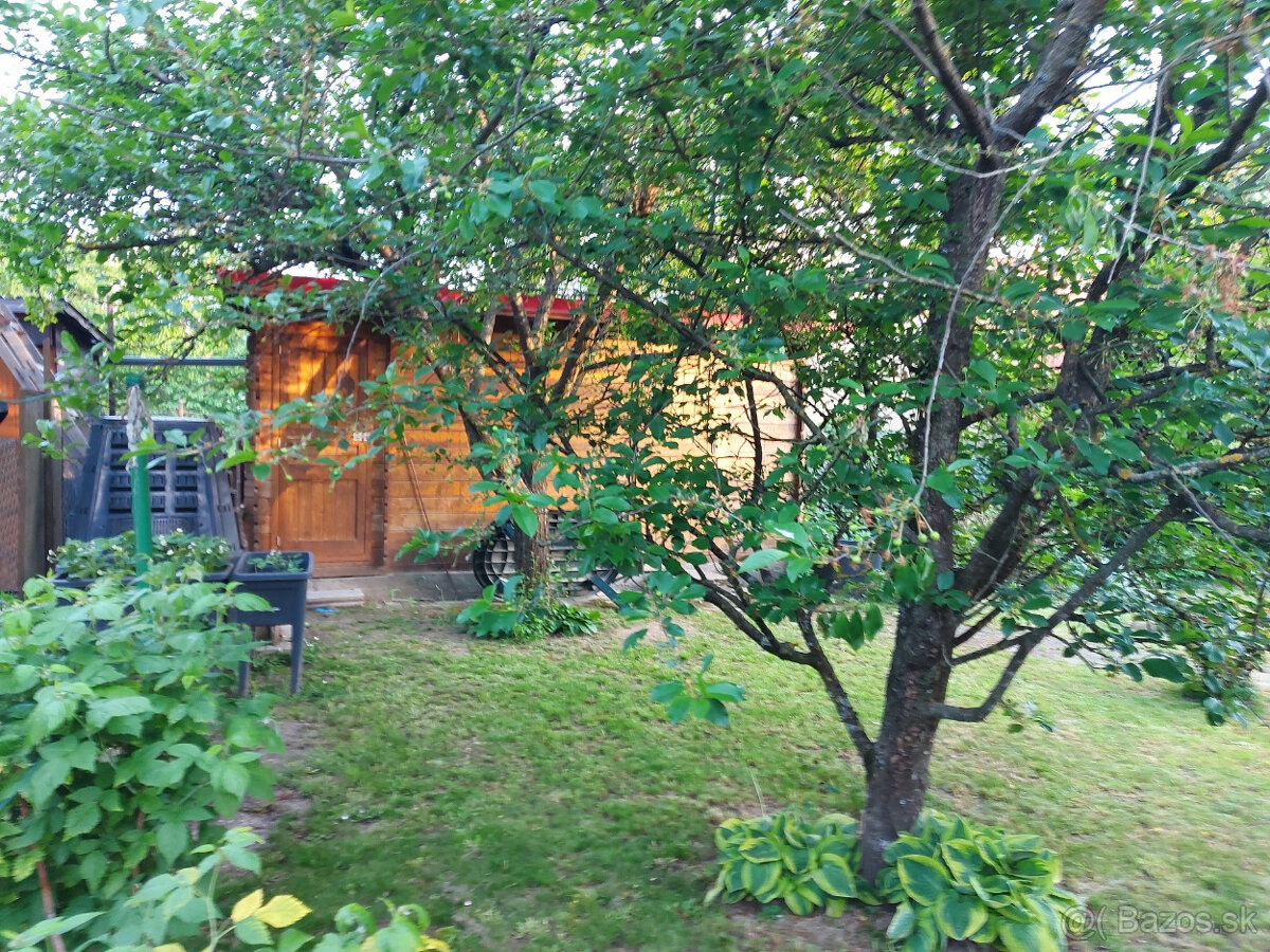 Chata Košice II - Šaca - 9