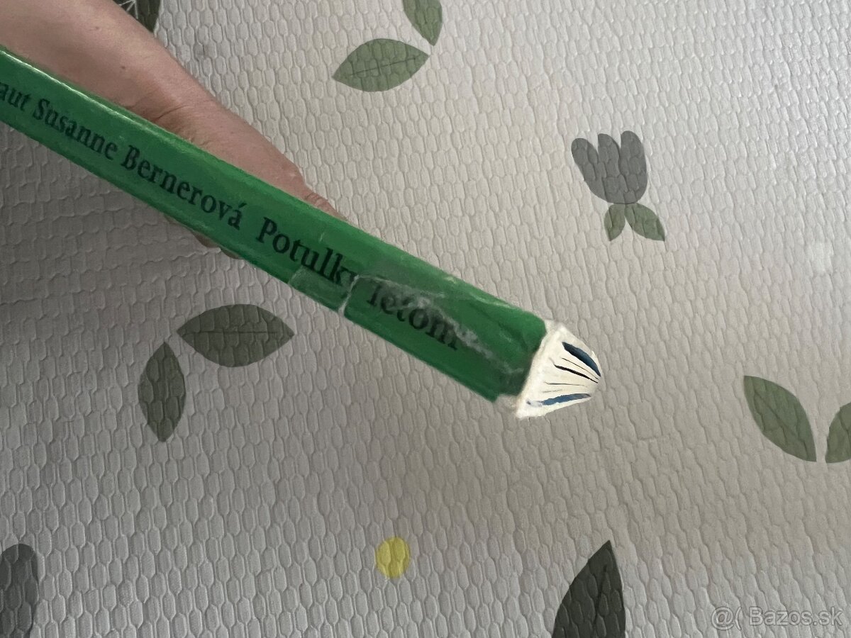 Potulky letom - velke obrazkove leporelo Rotraut Bernerova - 9