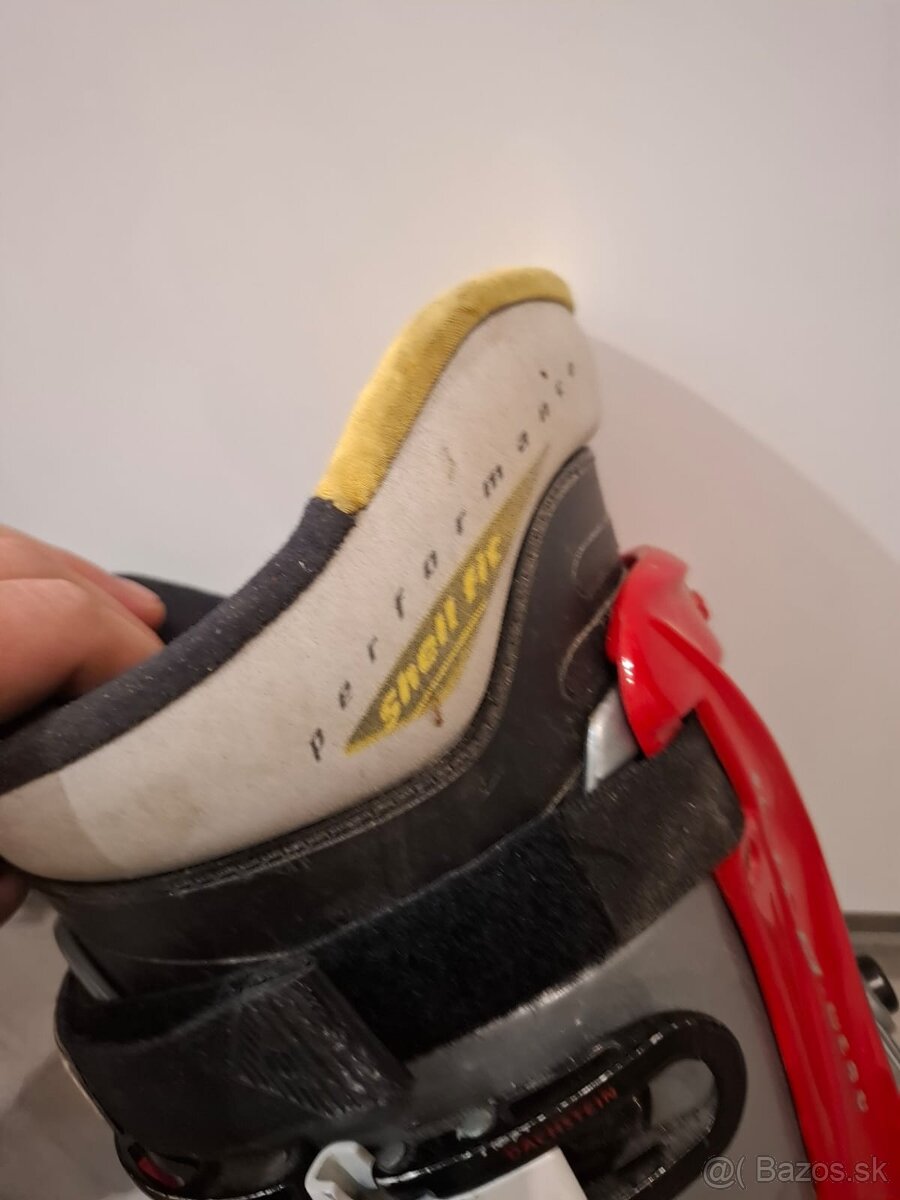 Skialpove lyziarky Dachstein Carve Race 320 mm - 9