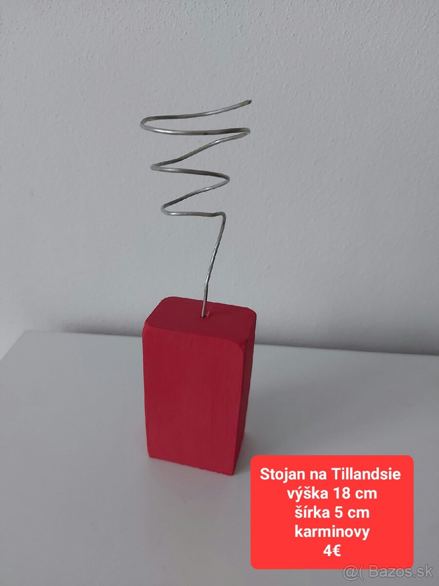 Stojany na Tillandsie - 9