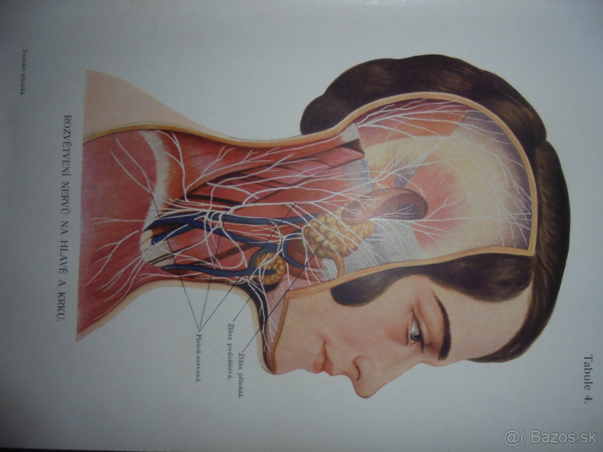 STAROŽITNÉ LEKÁRSKE KNIHY - 9