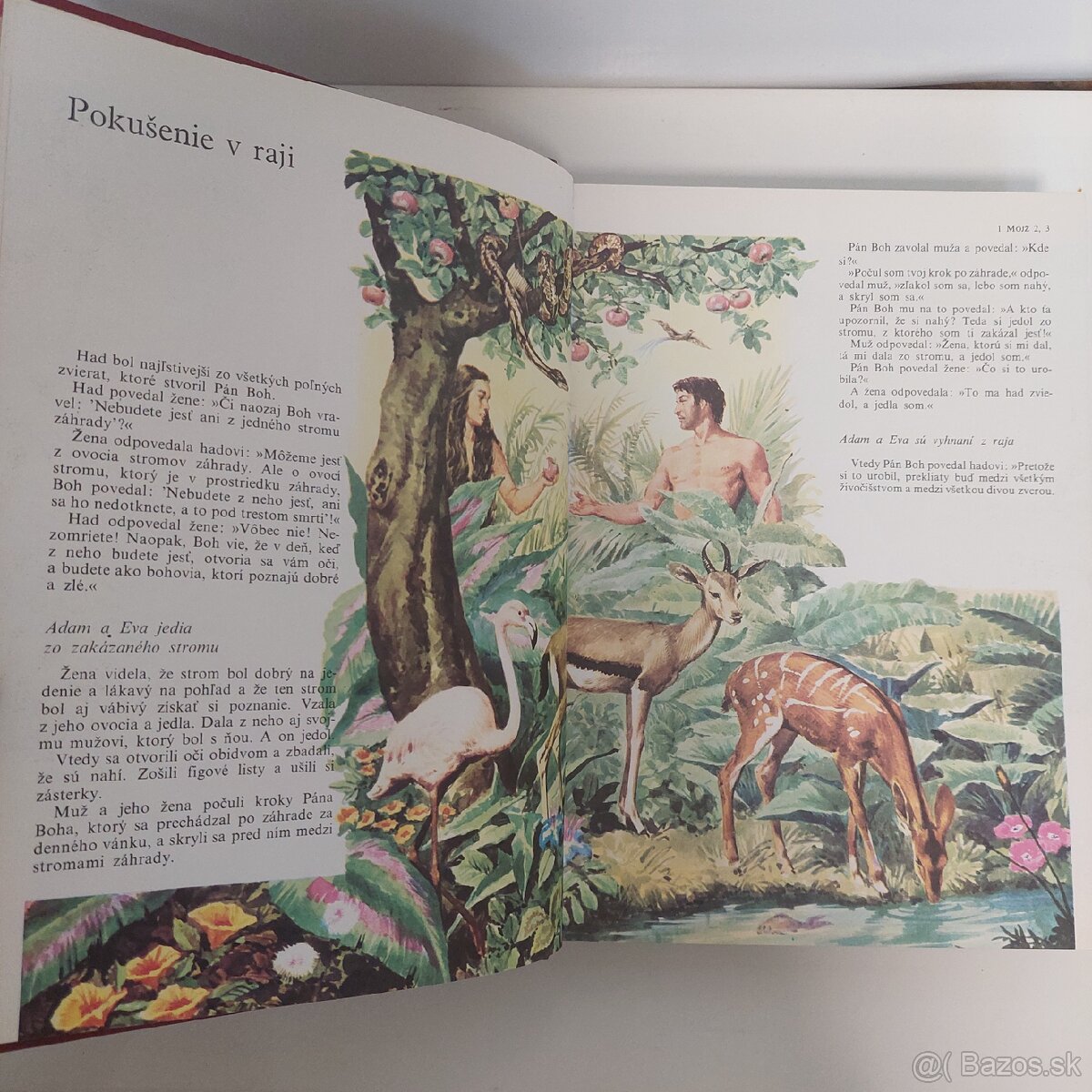 Ilustrovana biblia - 9