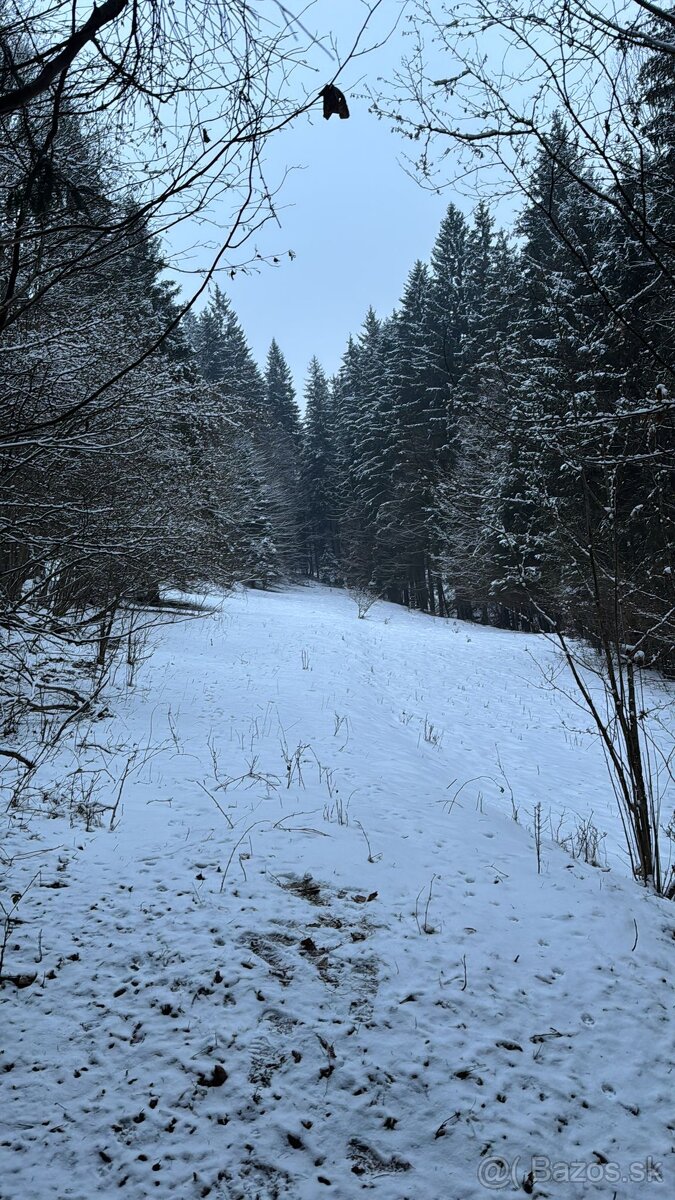 Predaj pozemku pri potoku 1536 m2, Turzovka - Turkov - 9