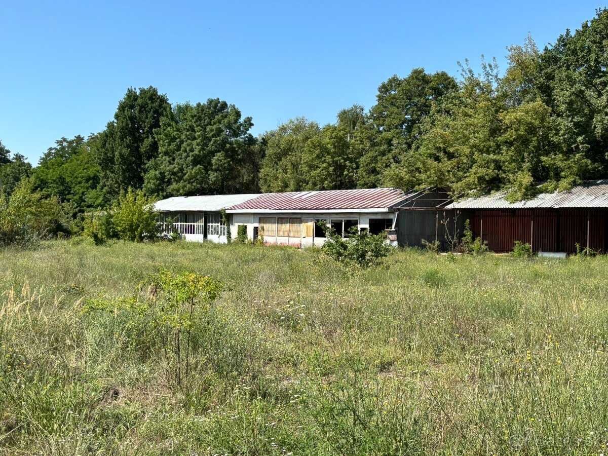 UPUSTENÉ Dražba areálu (budovy a pozemky) v k.ú. Malacky - 9