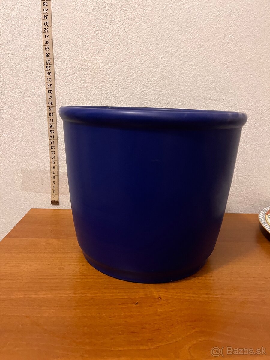 Kvetinče na predaj - 9