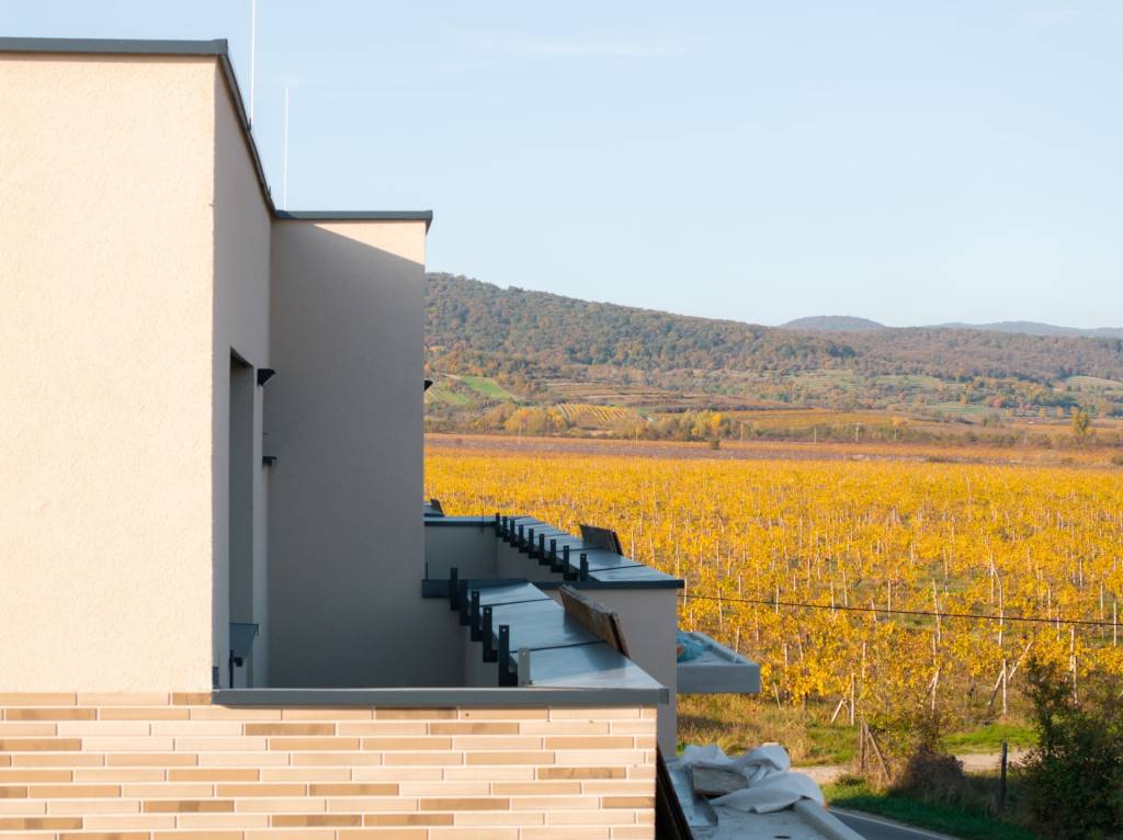 TOREA - ZELENÉ NIVY - 2i BYT SO ZÁHRADOU V BYT. DOME C - PEZ - 9