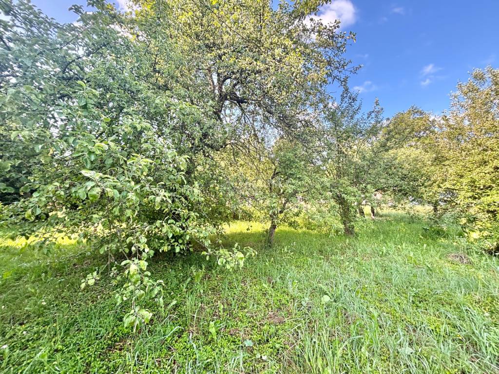 Predaj pôvodného rodinného domu v Olešnej - 9