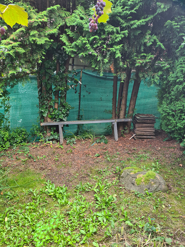 Záhrada s murovanou chatou s nádherným výhľadom - 9