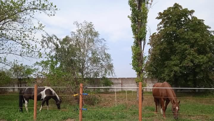 Boxové ustajnenie - 9