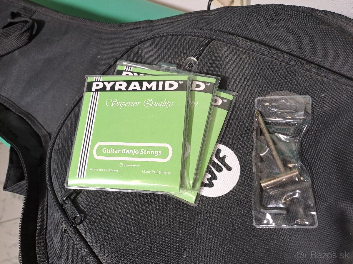 6 strunové banjo Pasadena - 9