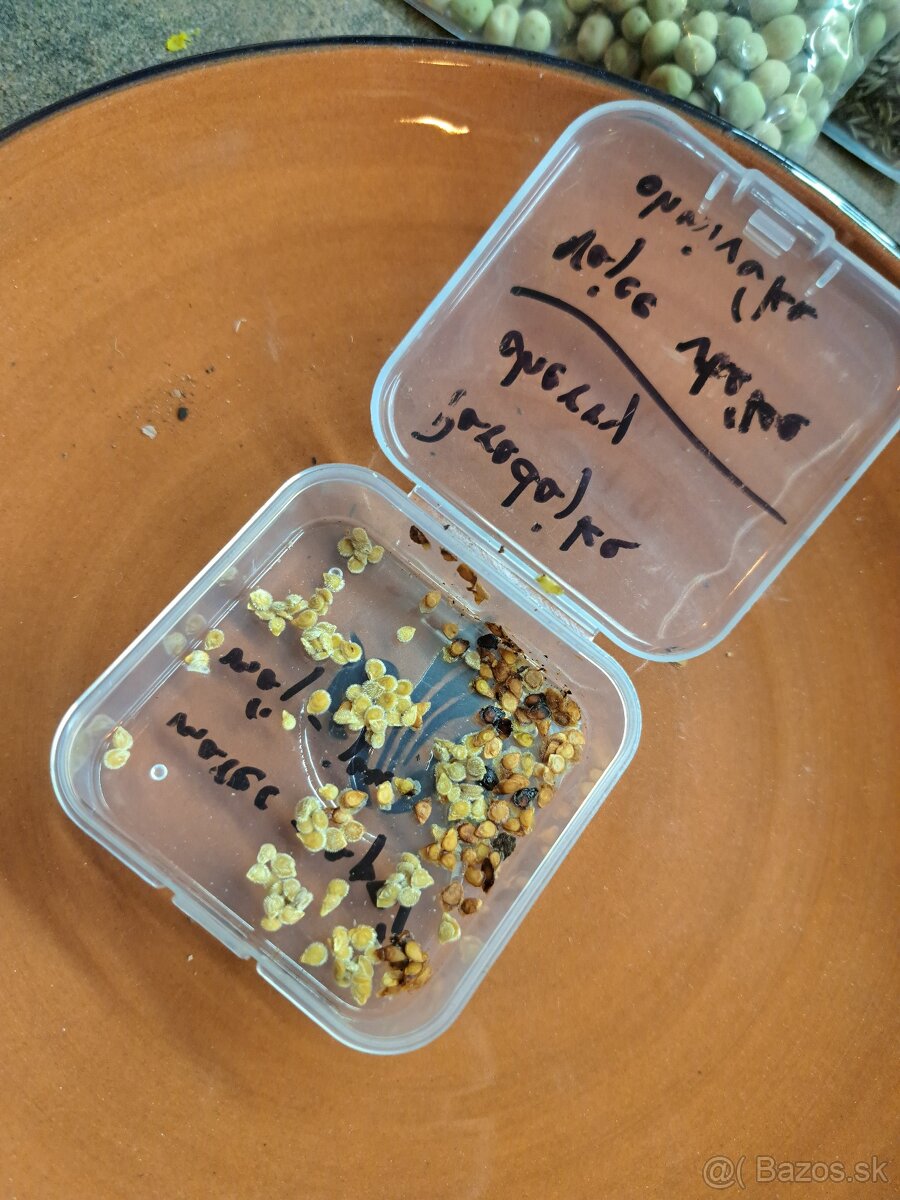 Semená zeleniny a ovocia - 9